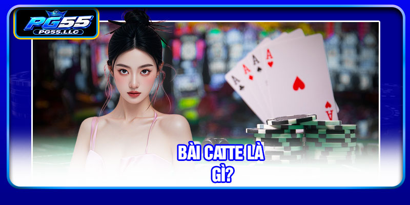 Bài catte là gì?