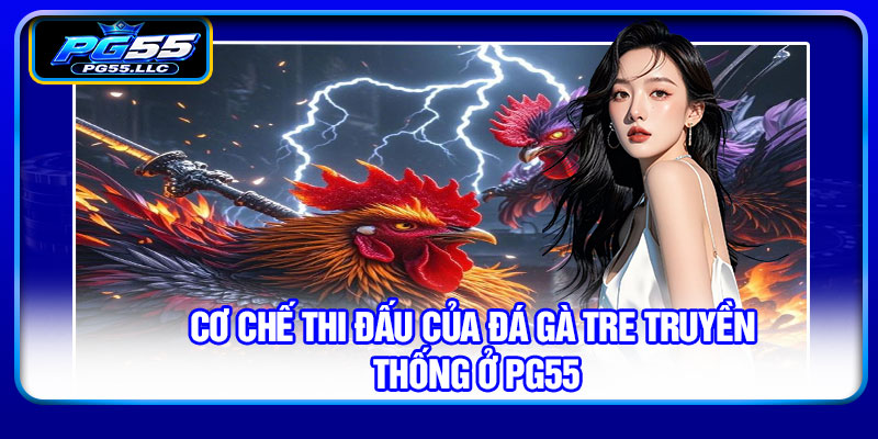 Cơ chế thi đấu của đá gà tre truyền thống ở PG55