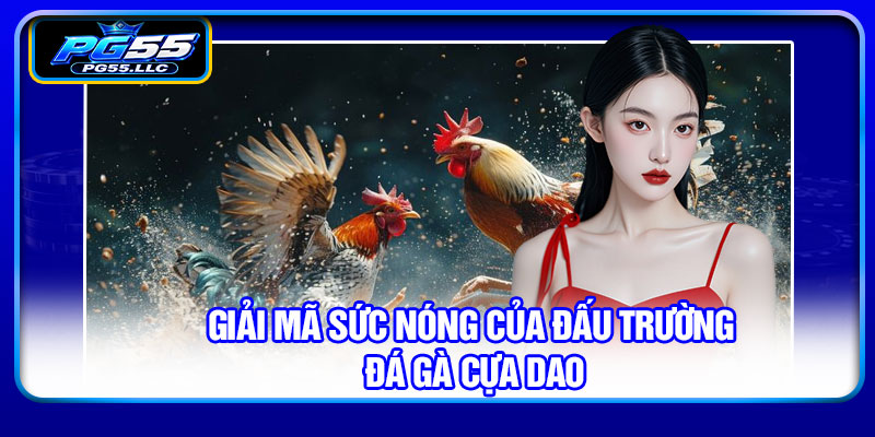 Giải mã sức nóng của đấu trường đá gà cựa dao