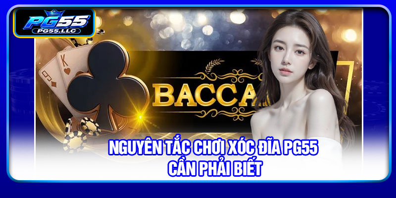 Nguyên tắc chơi xóc đĩa PG55 cần phải biết