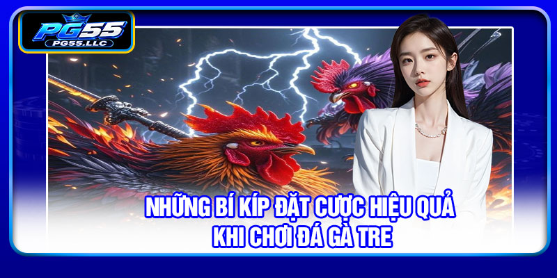 Những bí kíp đặt cược hiệu quả khi chơi đá gà tre