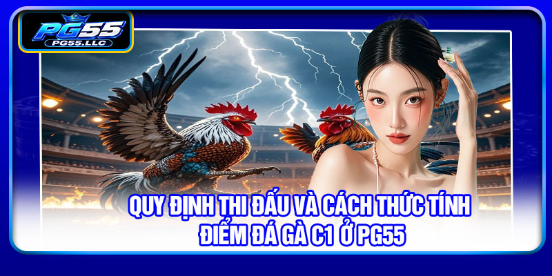 Quy định thi đấu và cách thức tính điểm đá gà C1 ở PG55